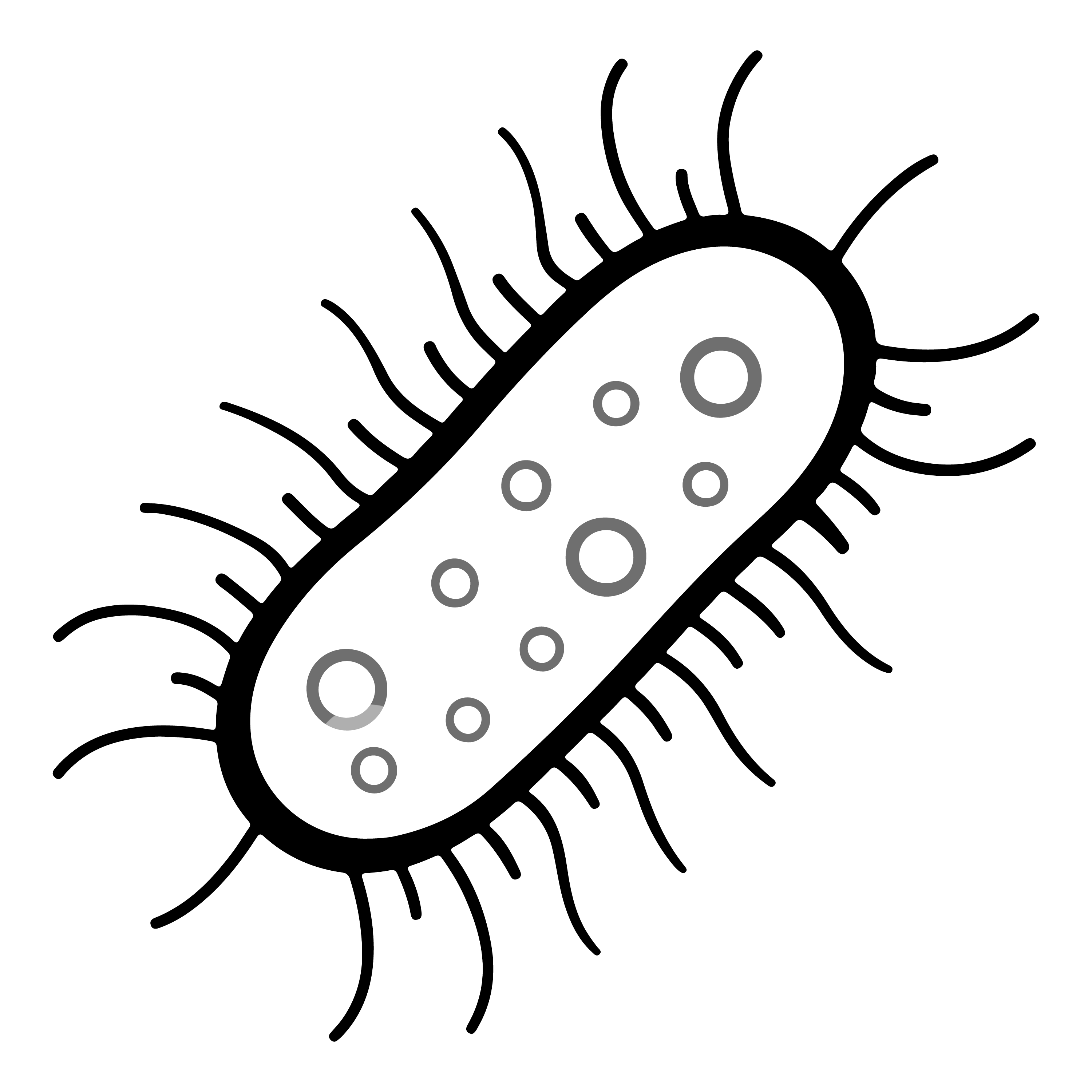 متحجر